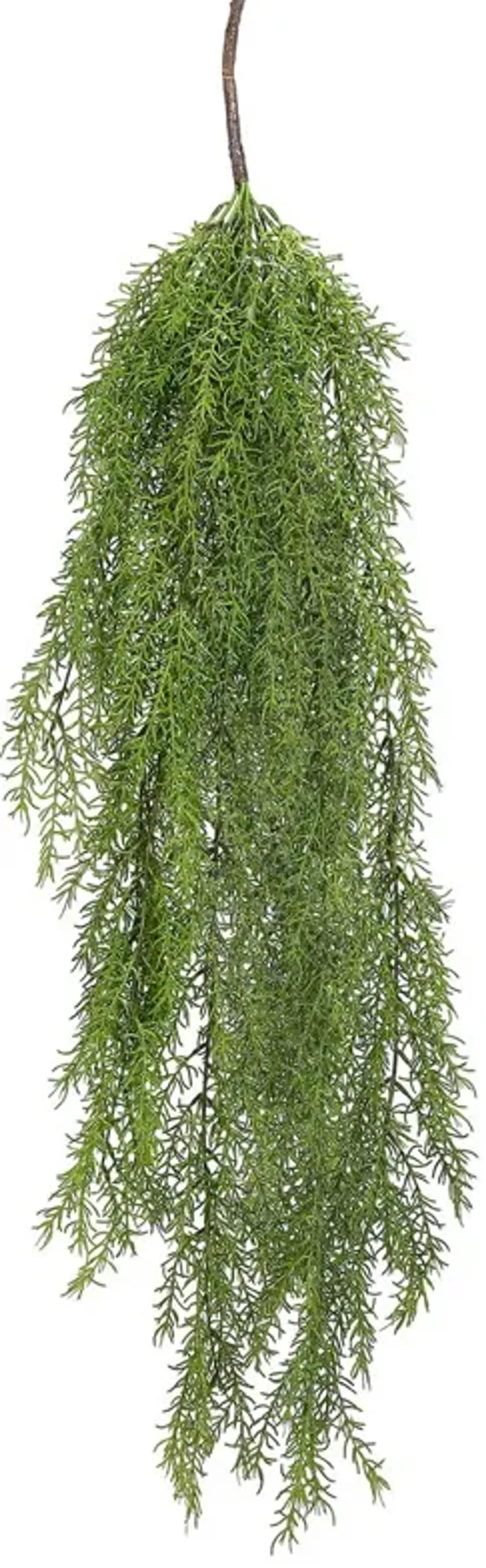 37" Sedum Hanging Spray, Set of 12