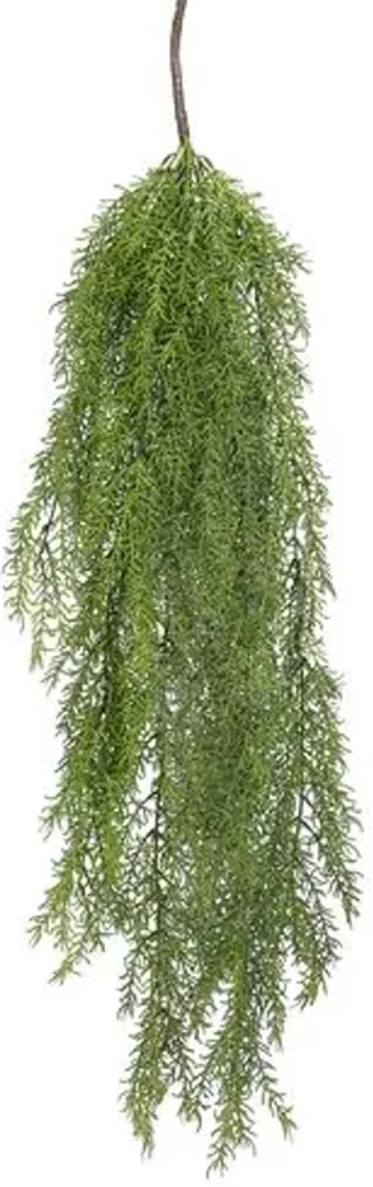37" Sedum Hanging Spray - Set of 12 - Green