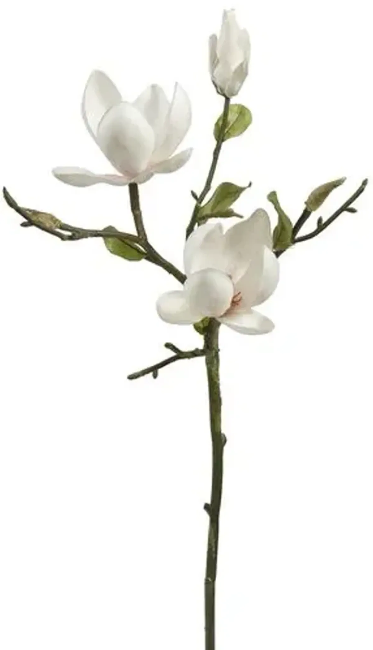 20" Magnolia Tree Stem - Set of 12 - White