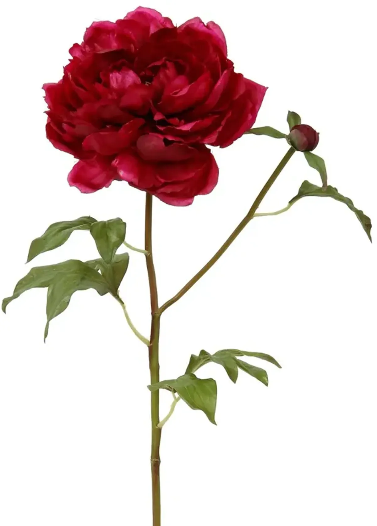 19.5" Open Peony Stem, Set of 12