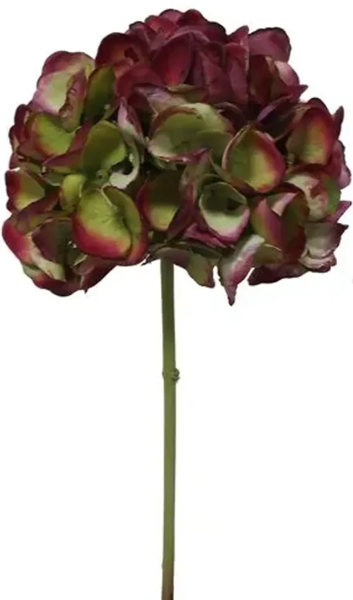 21" Short Hydrangea Stem - Set of 12 - Green