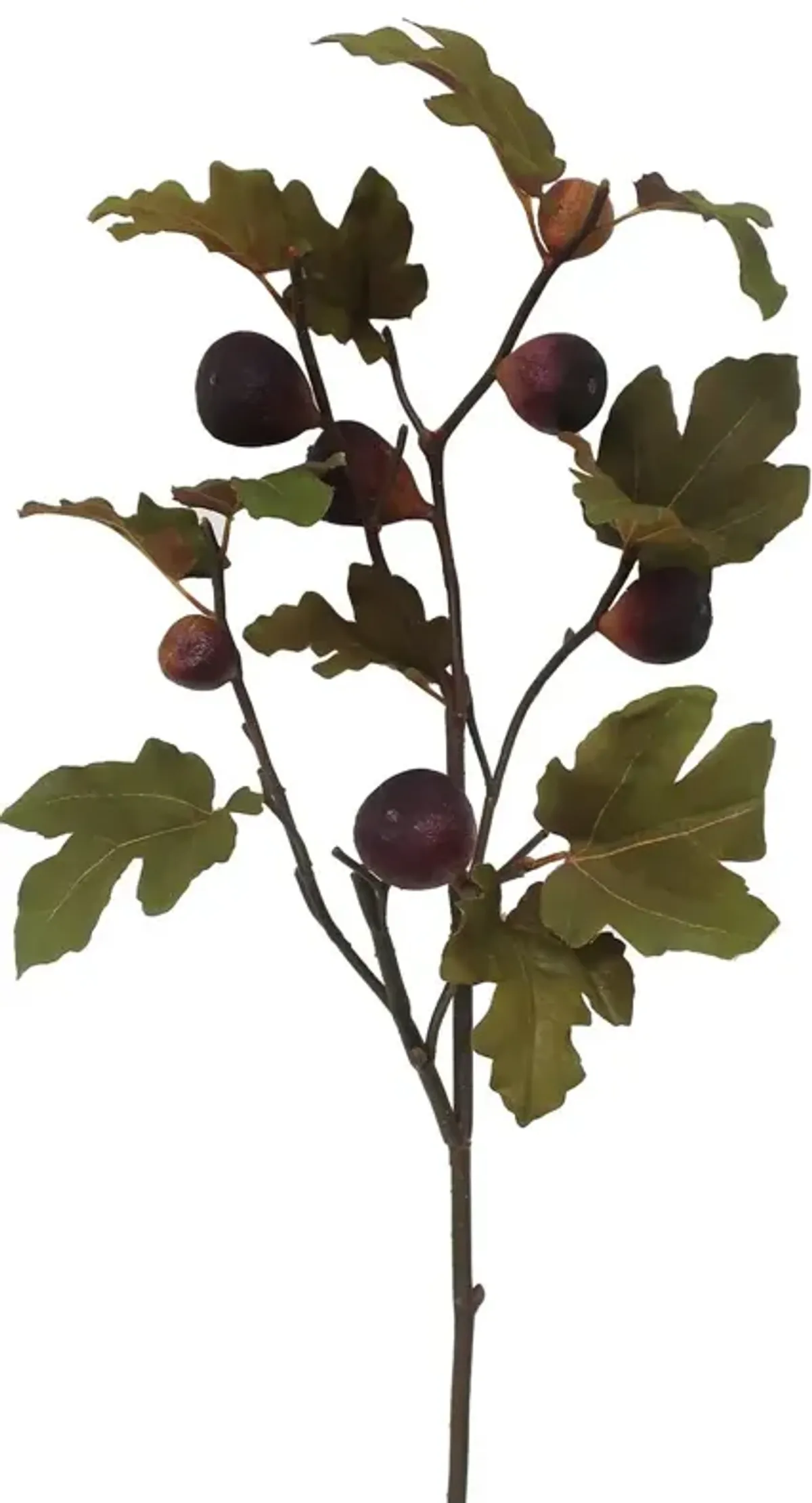 37" Dry Fig Fruit Branch, Set of 12