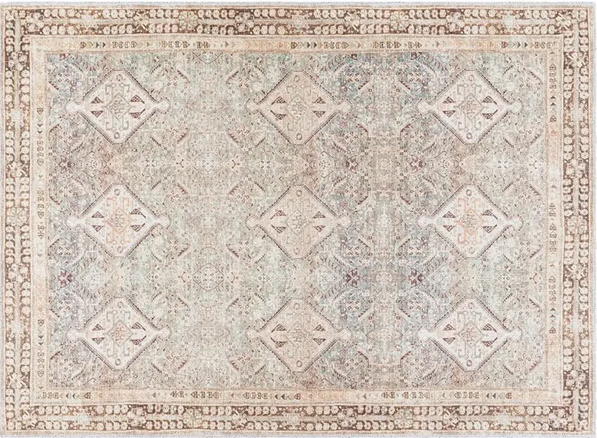 Amelie Woven Rug, Seafoam/Dark Brown