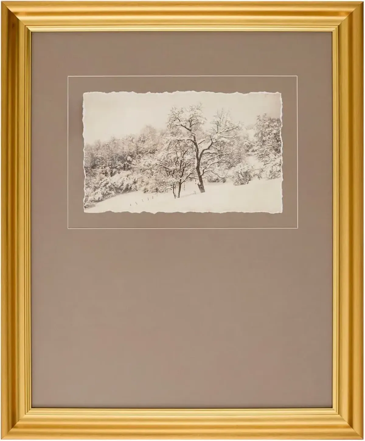 Coconino II Framed Landscape, 23" x 19"