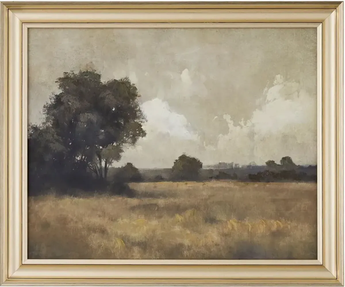 Eldorado III Framed Landscape, 23" x 19"
