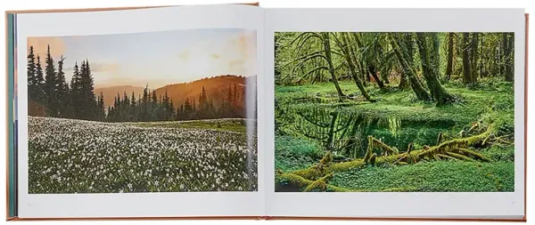 Treasured Lands Leatherbound Book