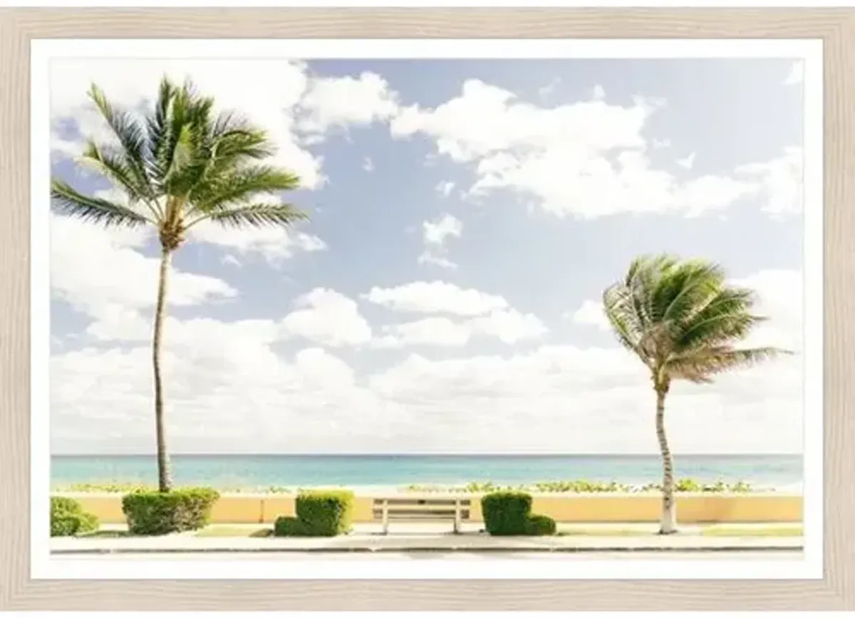Palms Photograph by Adam Mowery - Blue