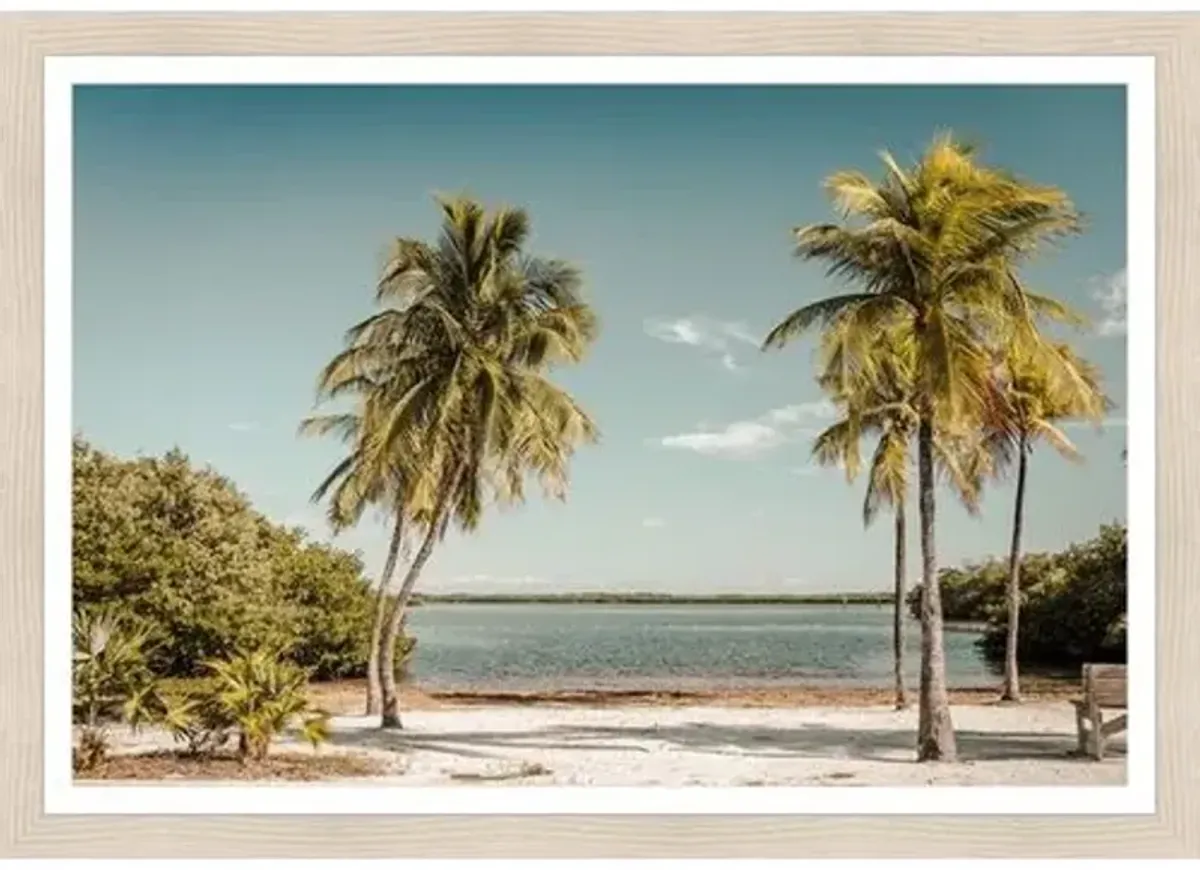 Palm Lake Photograph by Adam Mowery - Blue
