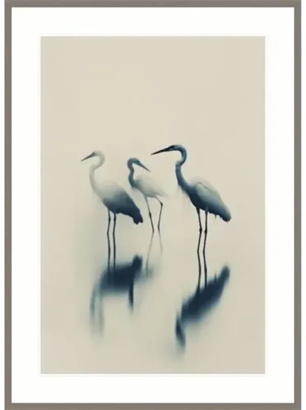 A Still Seashell I Photograph by Olive Perry - Blue