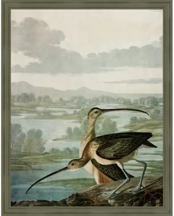 Curlewooks Painting by Jackie Von Tobel - Green