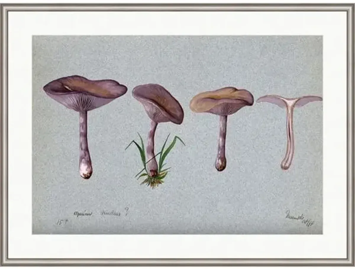 The Wood Blewit Fungus (Lepista Nuda) Painting by Alex Zane - Blue