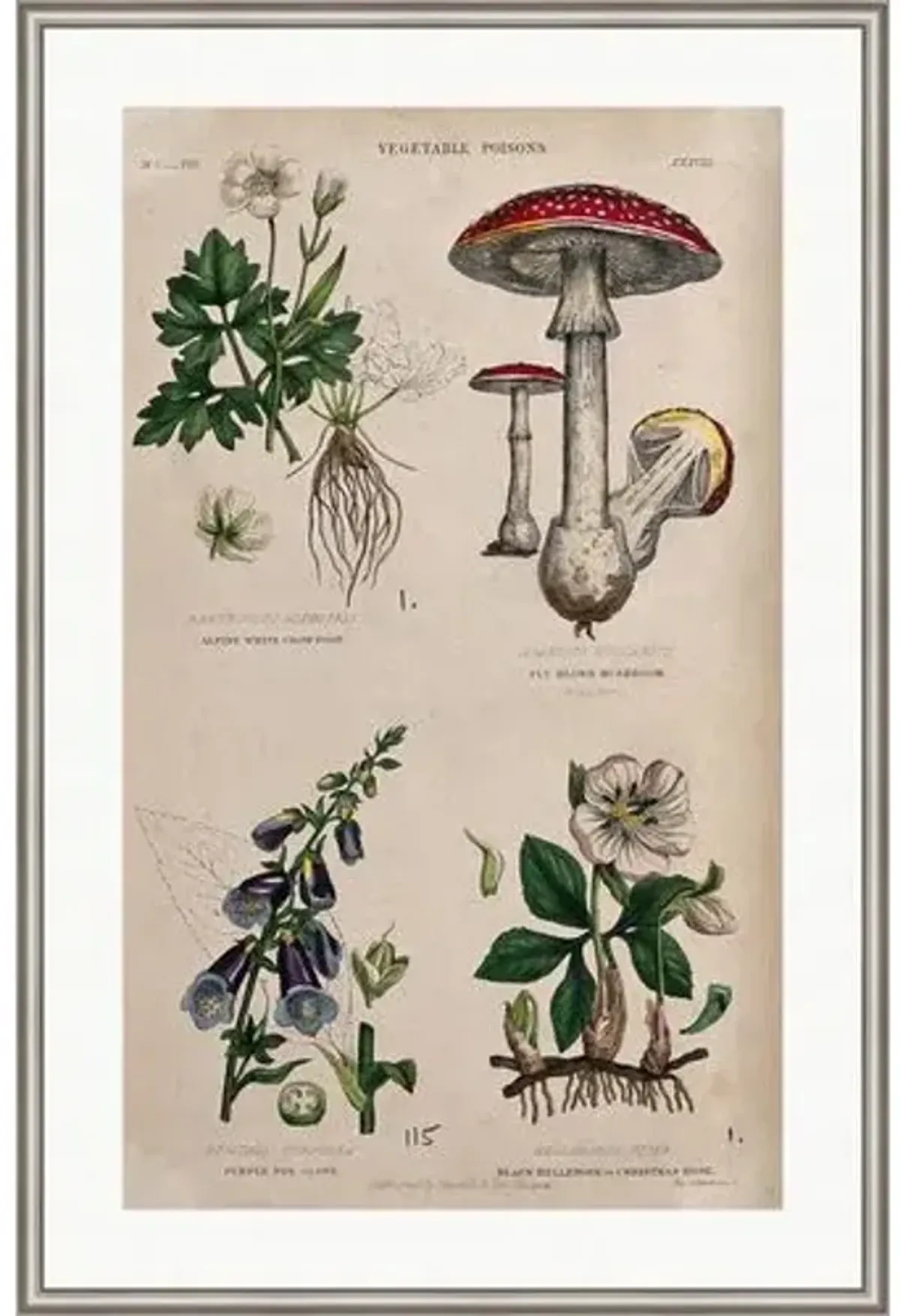 Four Poisonous Plants Painting by Alex Zane - Green