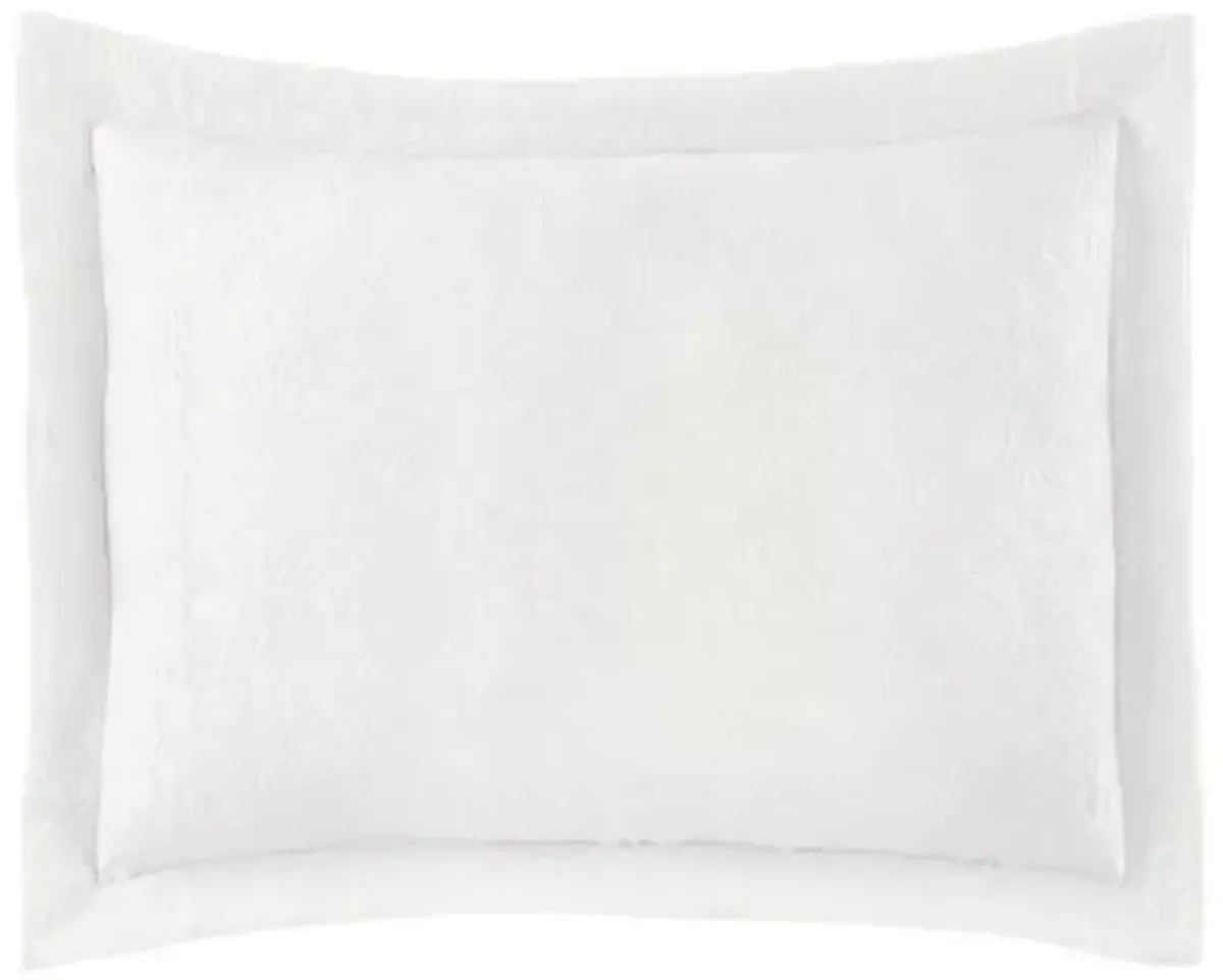 Lucia Matelass Sham - Peacock Alley - White