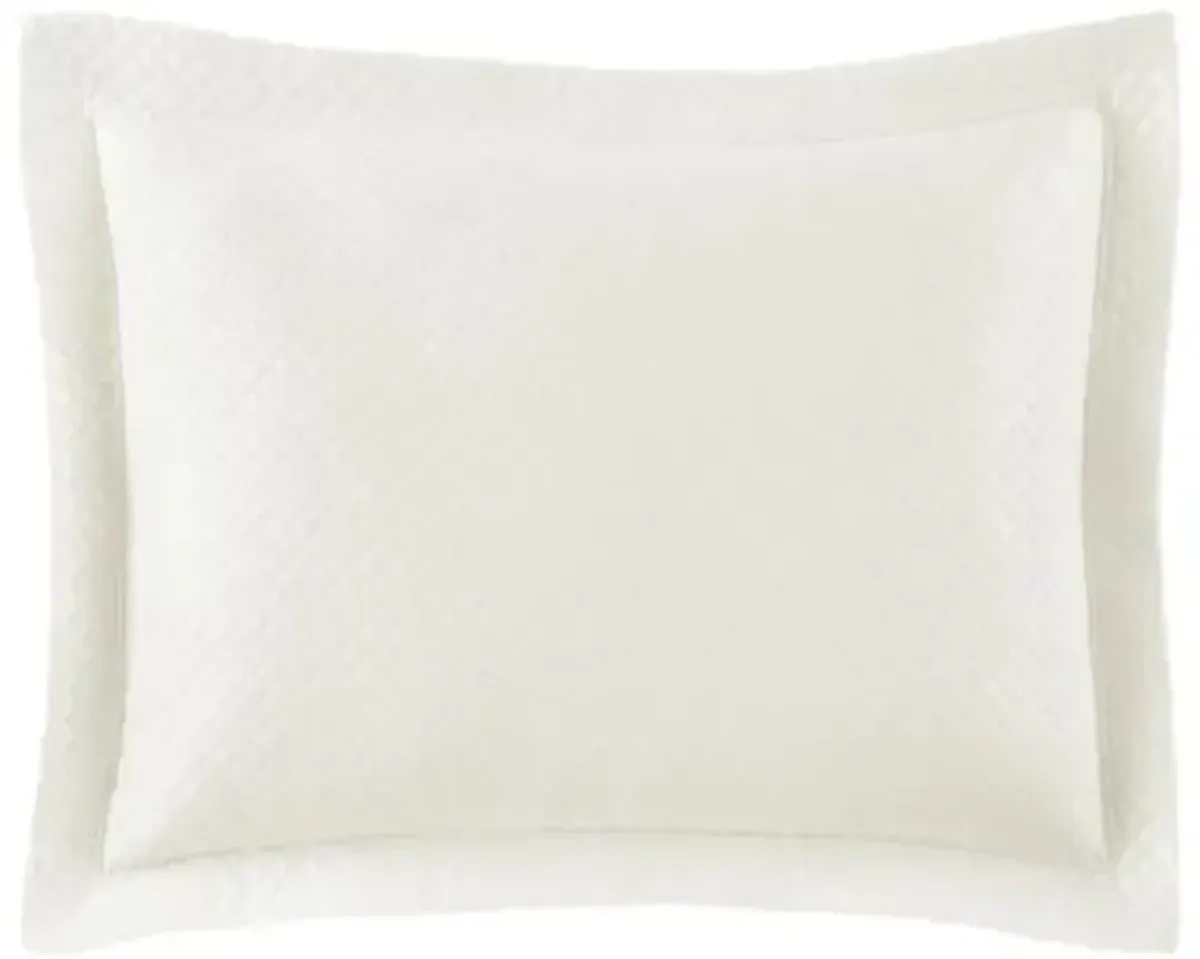 Oxford Matelassé Sham - Peacock Alley - Ivory