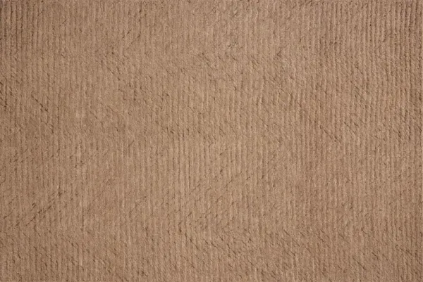 Kai Hand Tufted Rug
