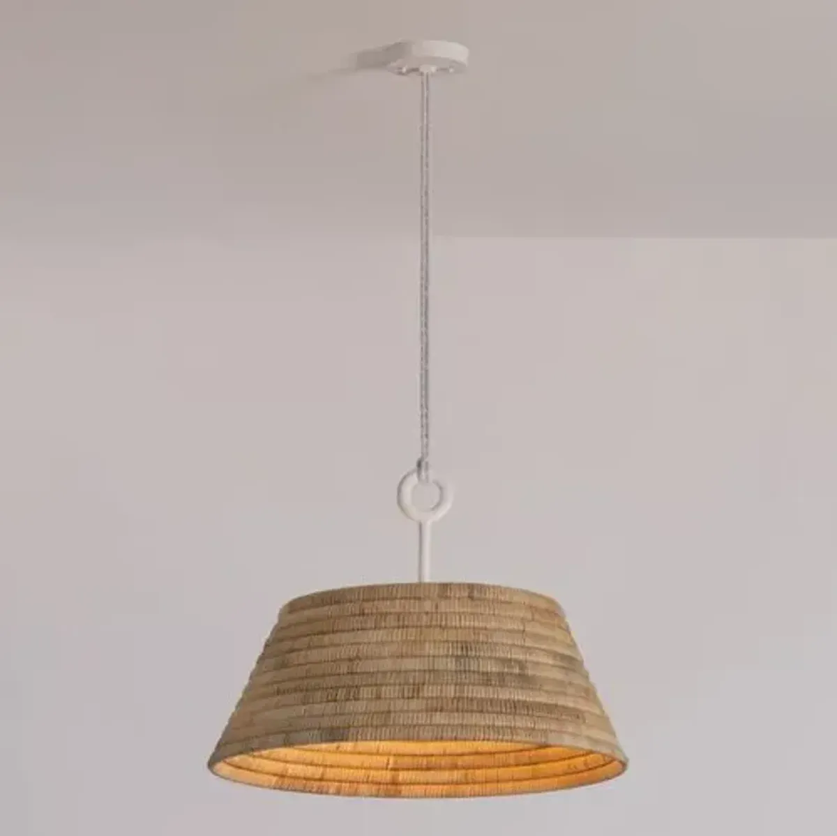Sequoia Pendant - Troy Lighting - Brown