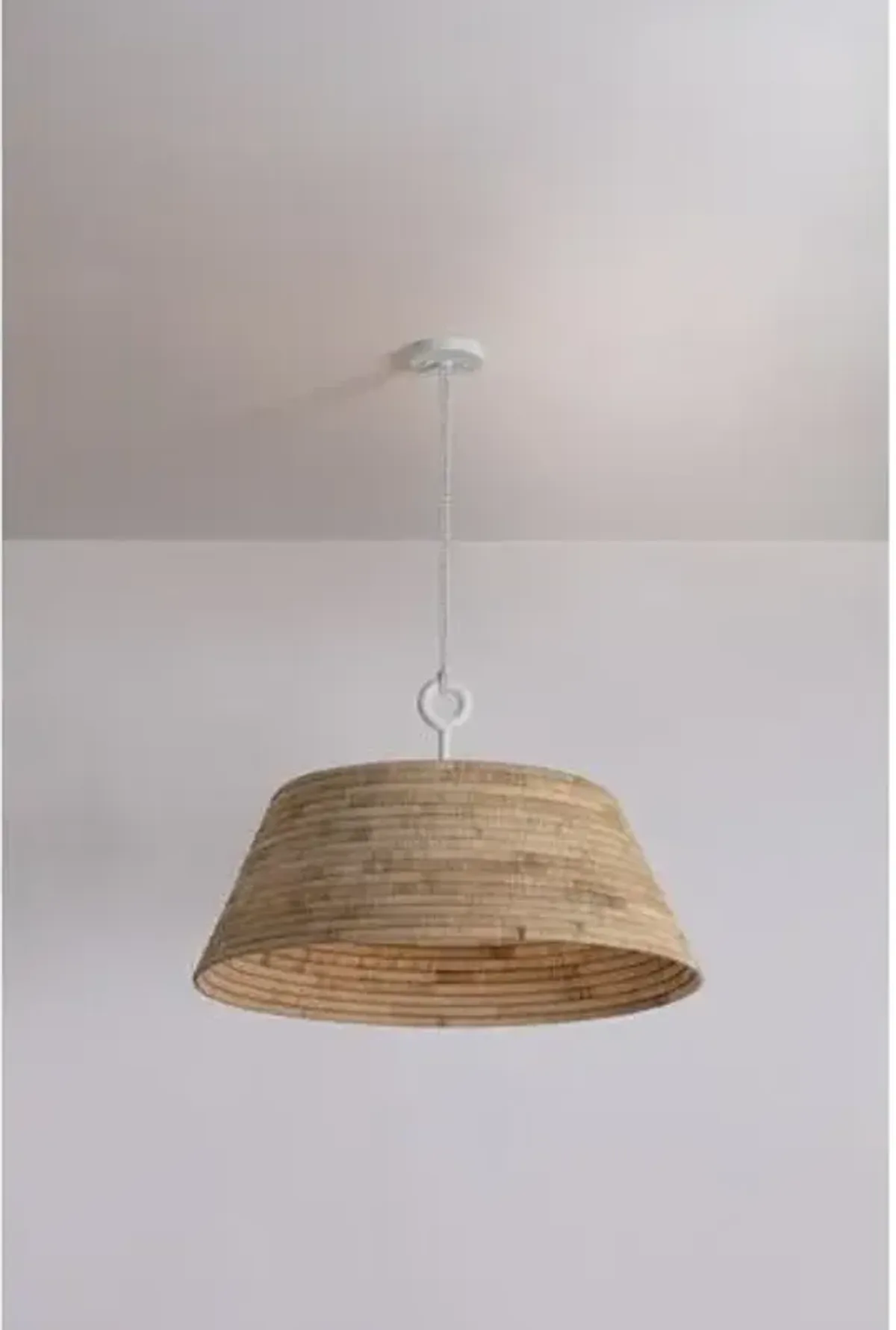 Sequoia Pendant - Troy Lighting - Brown