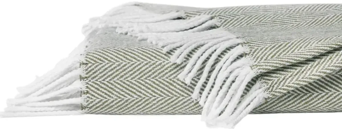 Celine Cotton Throw, 51" x 71"