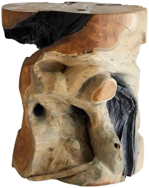 Fricke Teak Root Accent Table, Brown