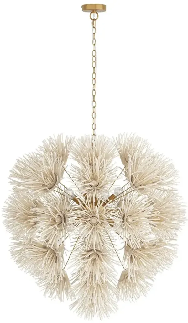 Winona Coconut Shell Chandelier - Ivory/Gold - Arteriors