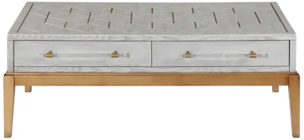 Orla 2-Drawer Rectangular Cocktail Table