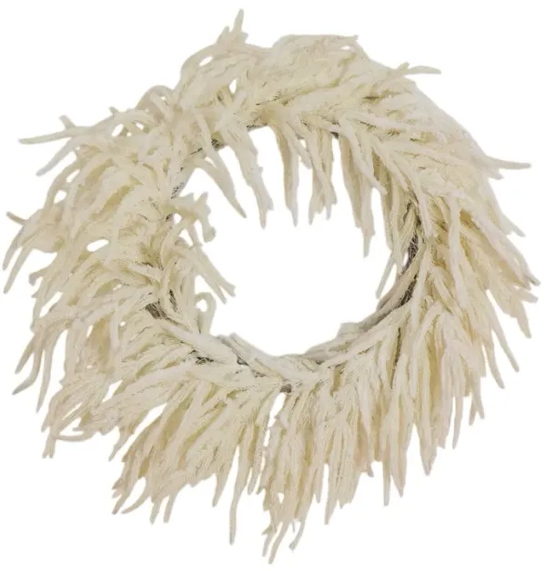 24" Real Touch White Norfolk Island Pine Wreath with Natural Look