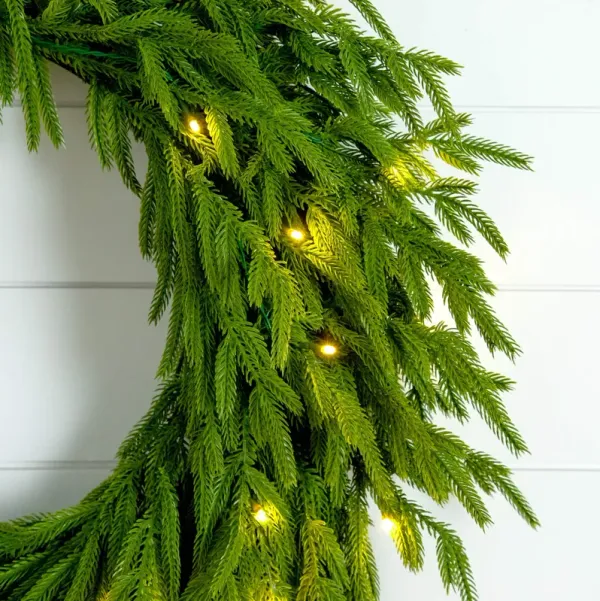 Pre-Lit Real Touch Norfolk Island Pine Wreath with 35 Warm White LED Lights - Green