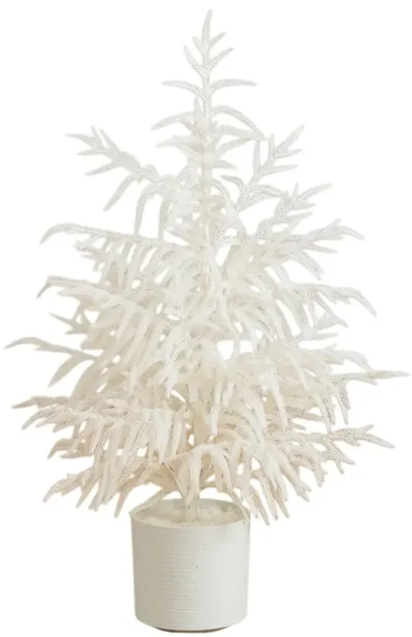 Real Touch White Norfolk Island Pine Christmas Tree with Natural Look