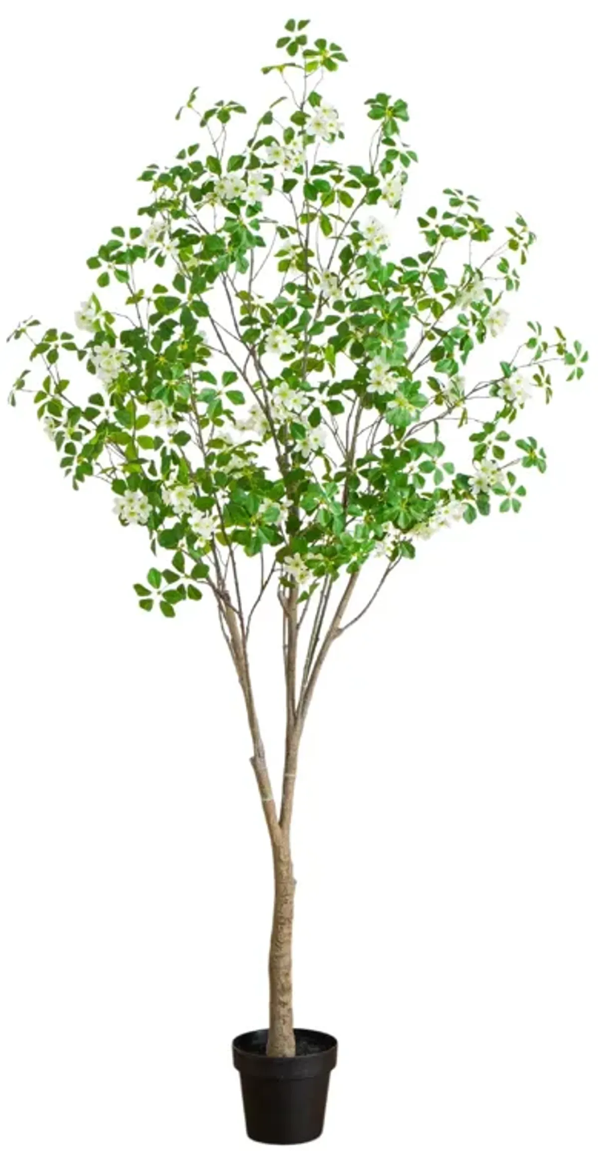 7-ft Dogwood Tree - Green