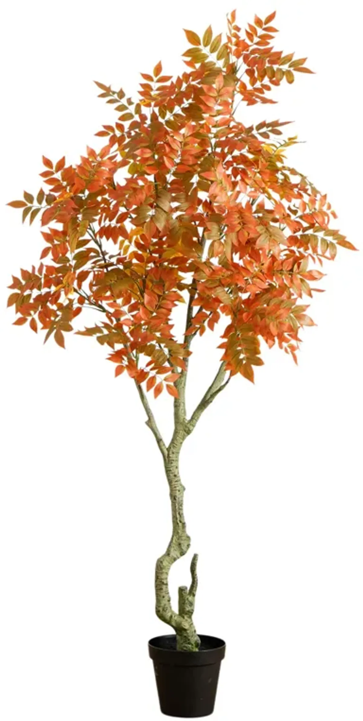 7-ft Autumn Sumac Fall Tree - Orange