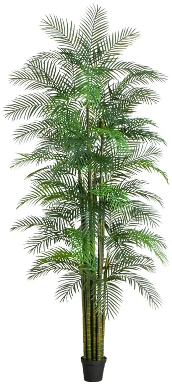 UV Resistant Areca Palm Tree (Indoor/Outdoor)