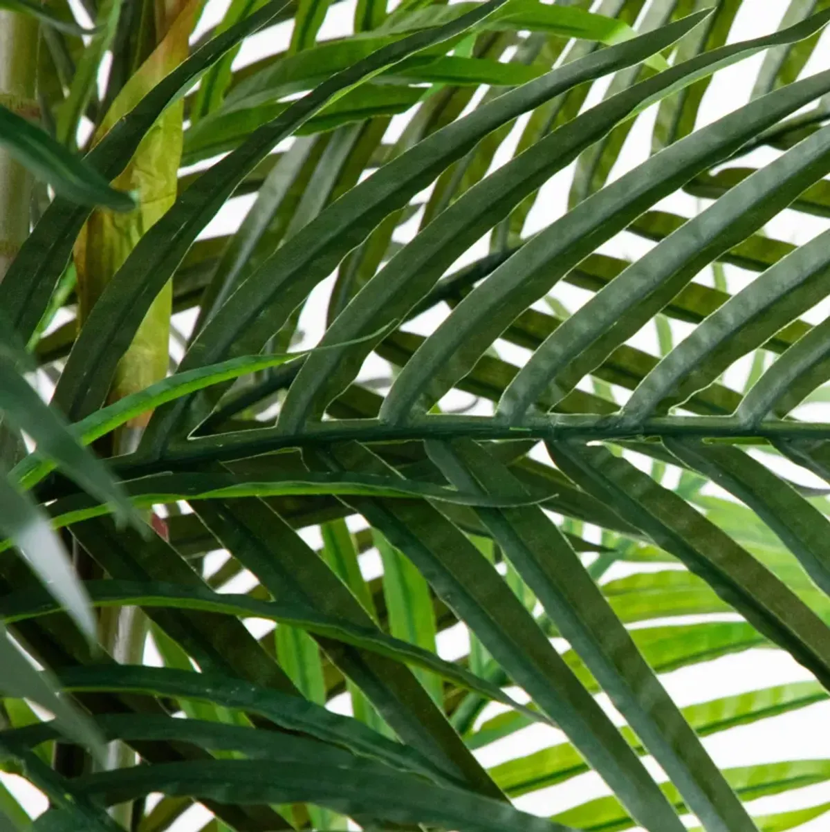 UV Resistant Areca Palm Tree (Indoor/Outdoor)
