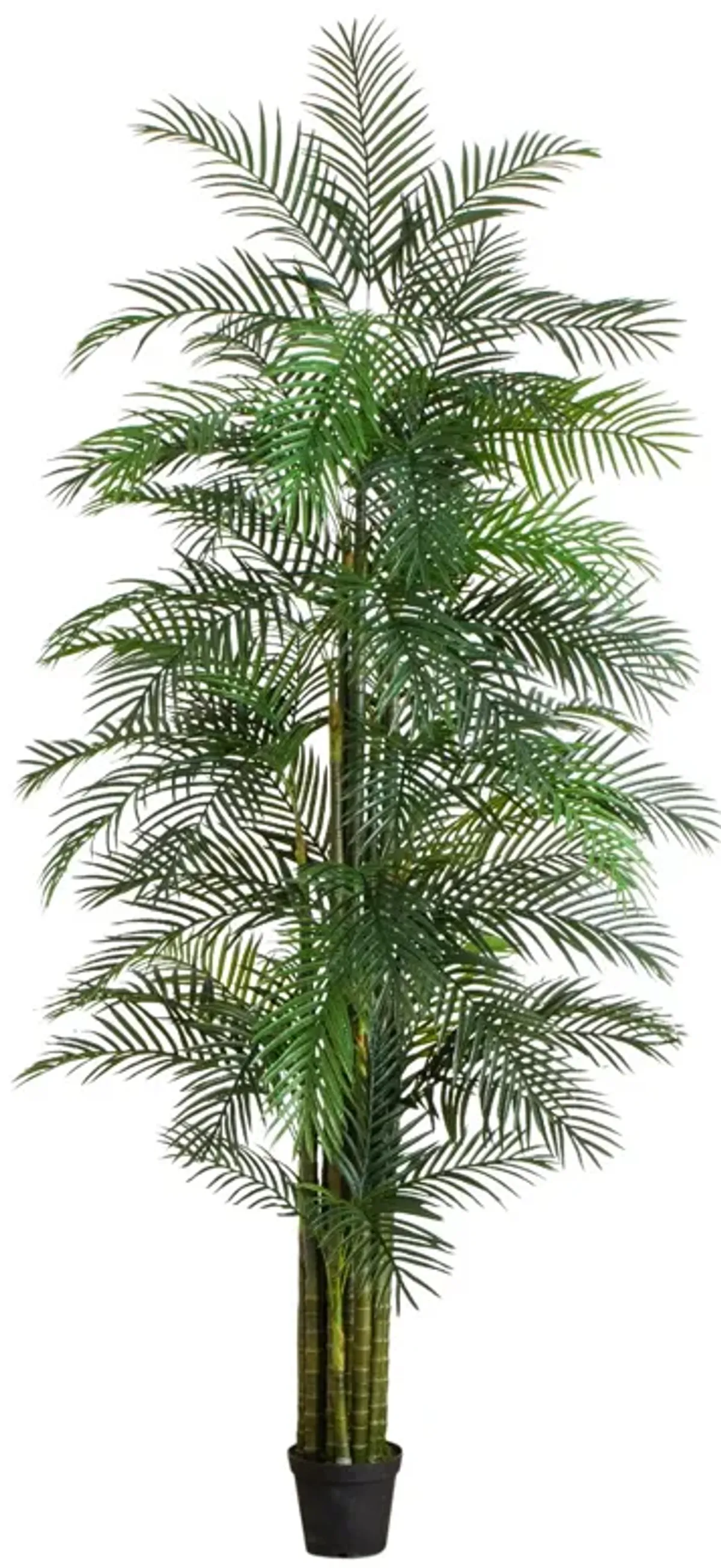 UV Resistant Areca Palm Tree (Indoor/Outdoor)
