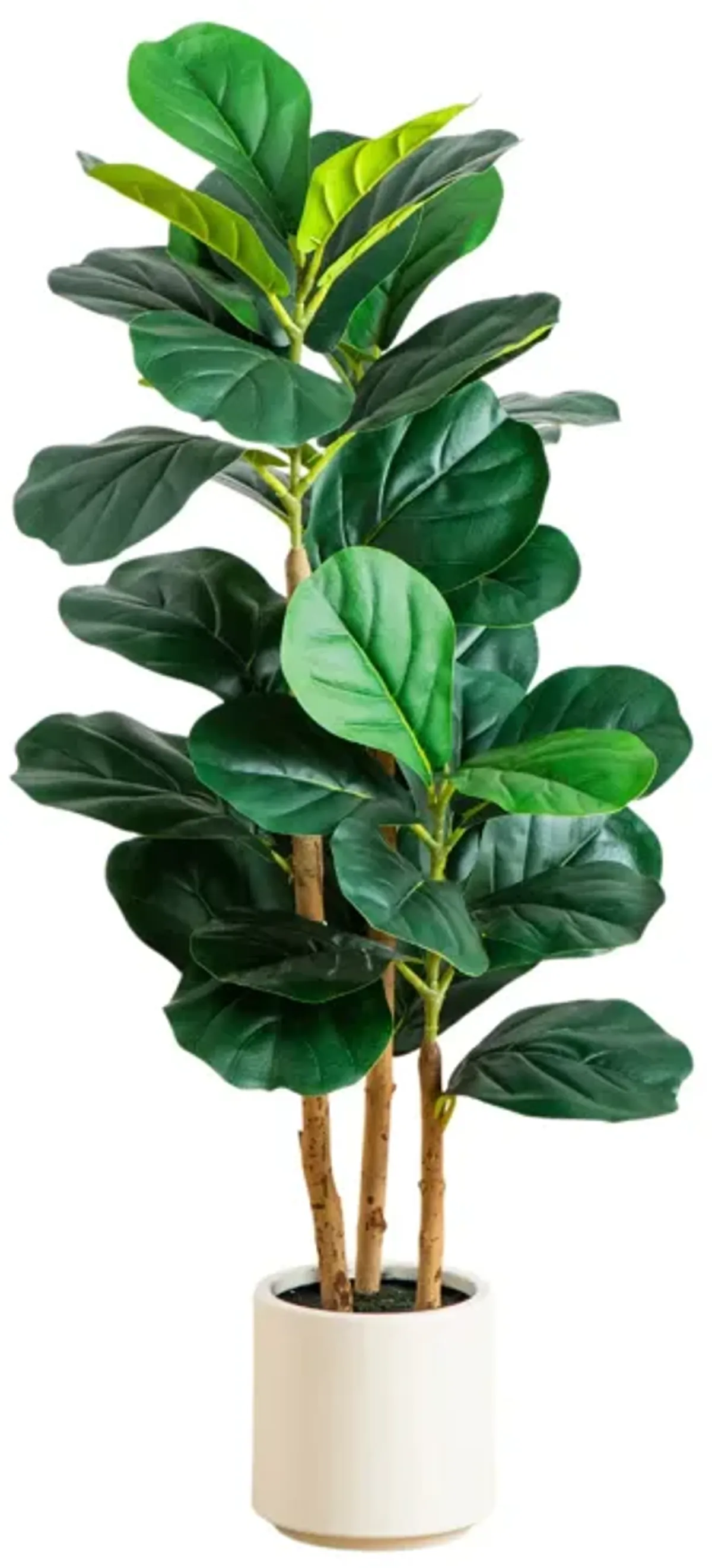 3-ft Fiddle Leaf Tree in White Planter - Green - 36Hx16Wx16D in