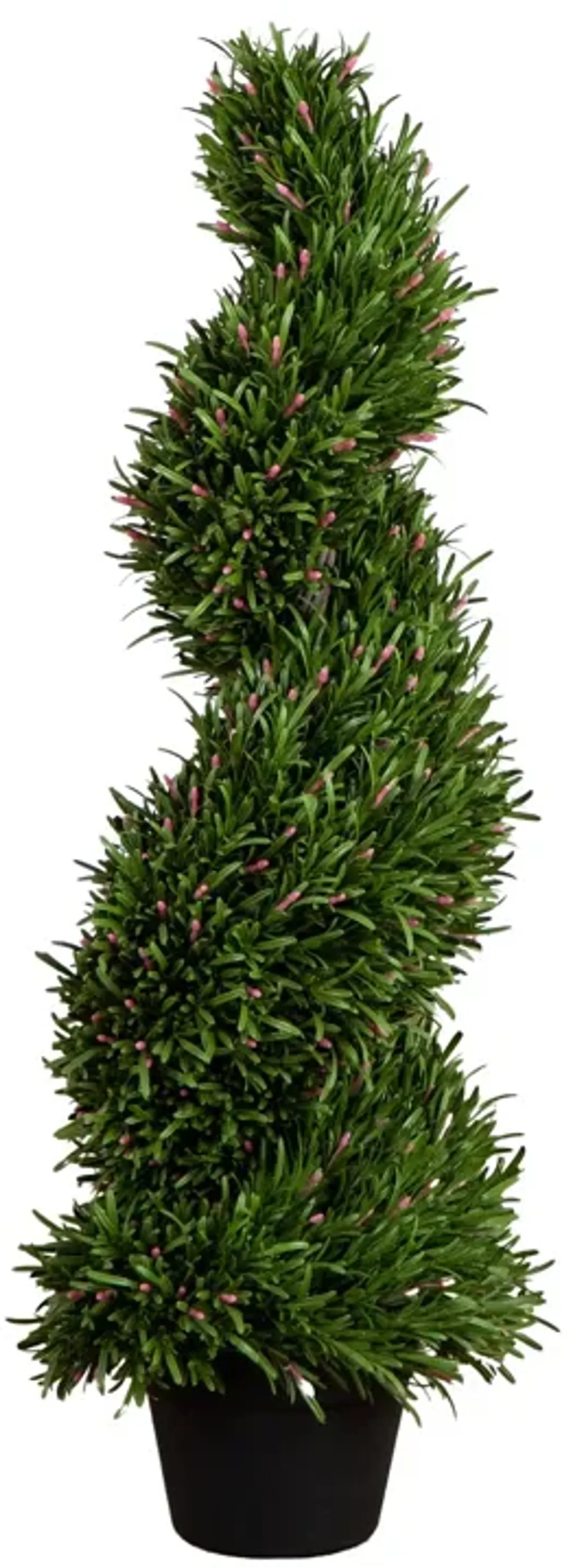 UV Resistant Rosemary Spiral Topiary Tree (Indoor/Outdoor)