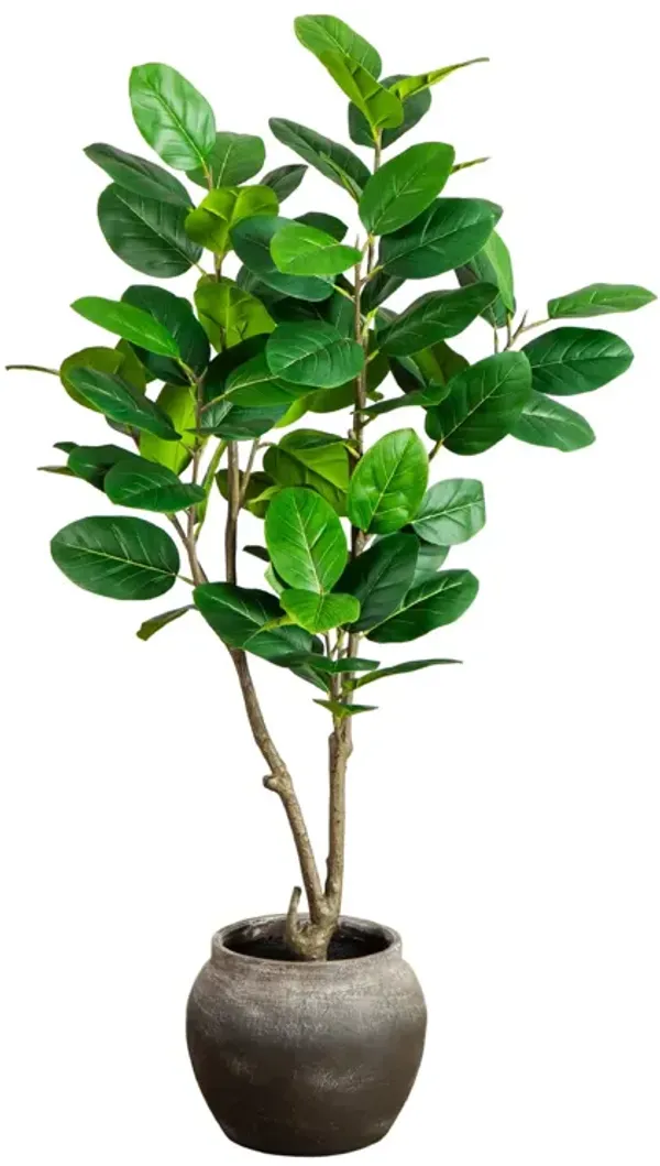 4-ft Audrey Ficus Tree in Decorative Planter - Green - 48Hx24Wx24D in