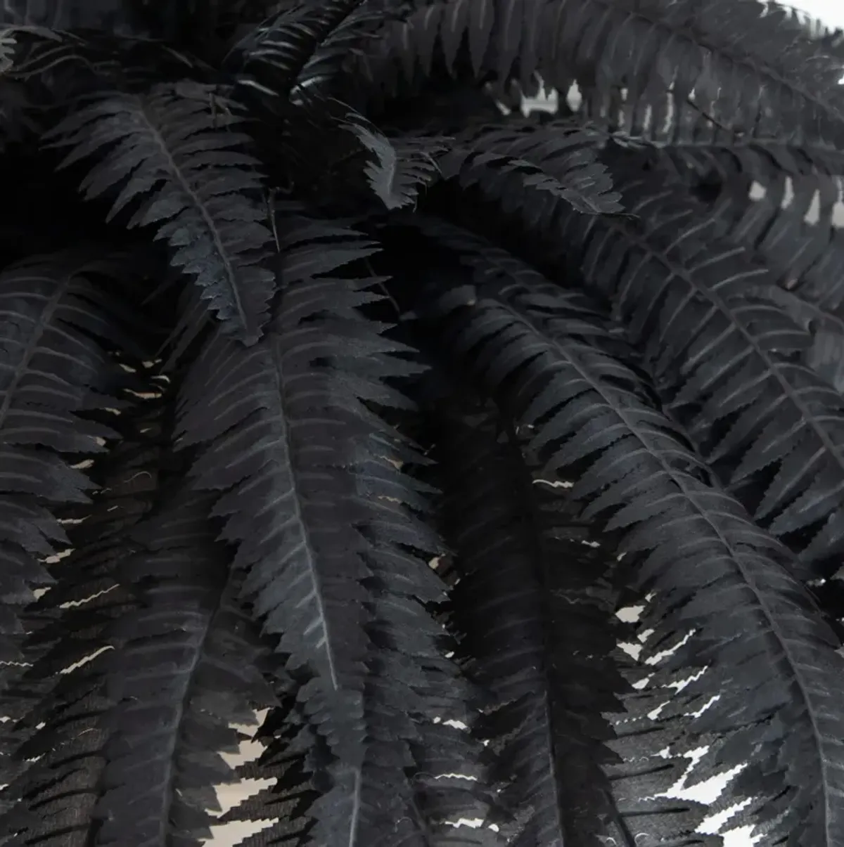 Set of 2 Halloween Black Boston Fern