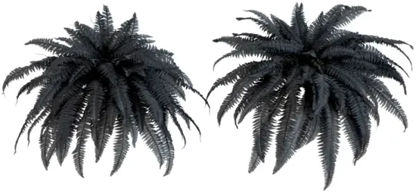 Set of 2 Halloween Black Boston Fern