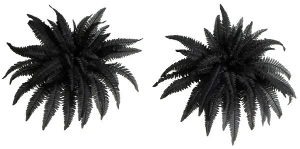 Set of 2 Halloween Black Boston Fern