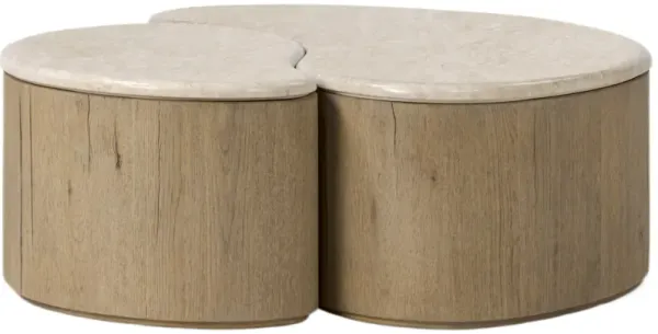 Asael Marble Top Nesting Coffee Tables, Cappuccino Marble