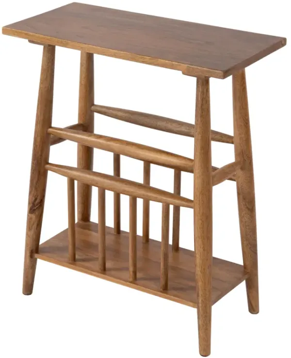 Lysandra 20" Side Table w/ Magazine Holder, Natural