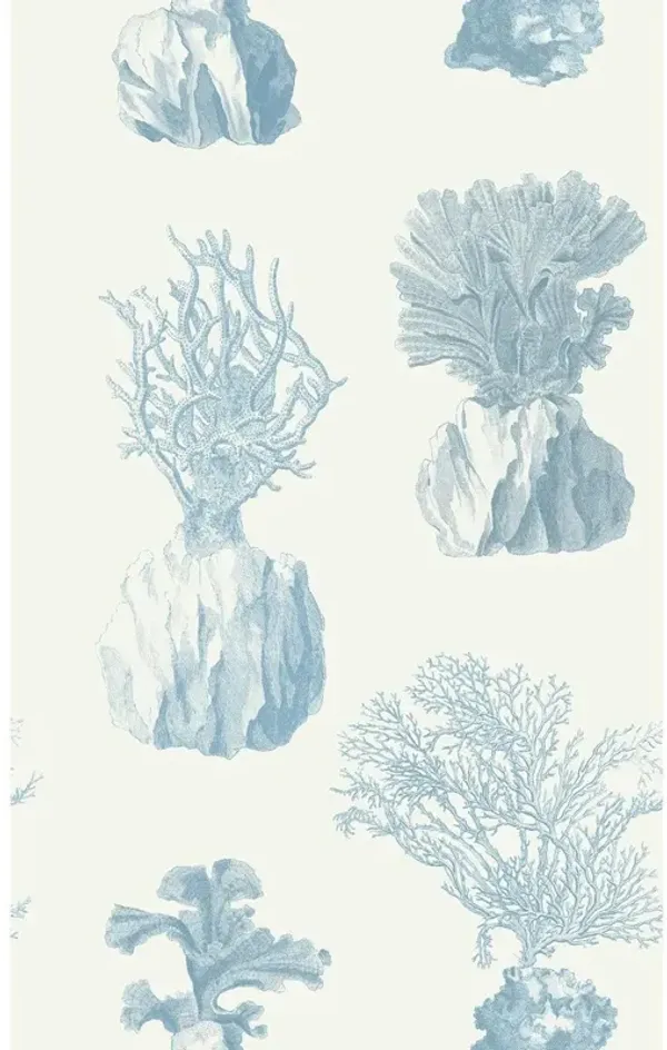 Yuki Osada, Augustine's Painterly Flowers Wallpaper