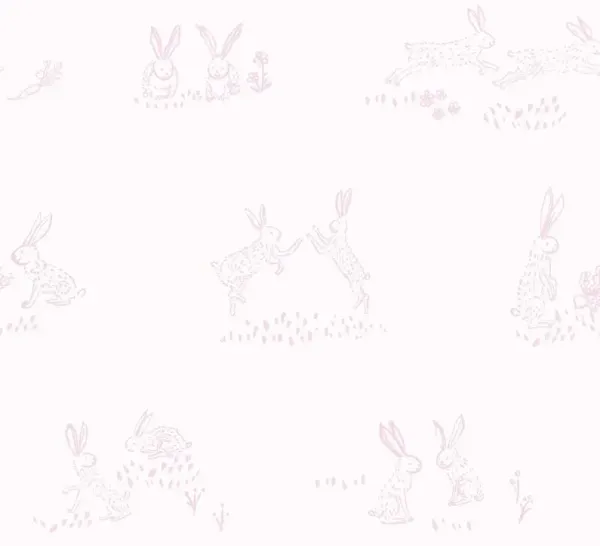 Yuki Osada, Bunny High Five Wallpaper