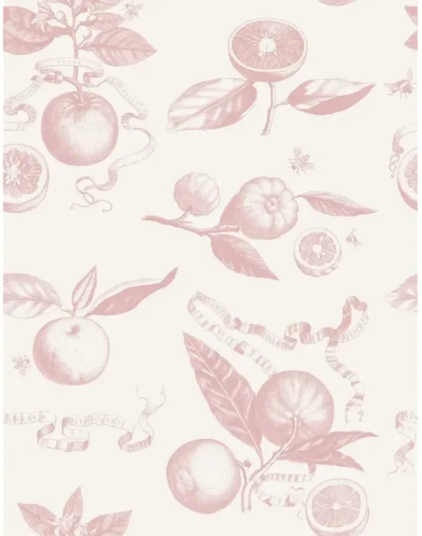 Yuki Osada, Citrus Toile Wallpaper