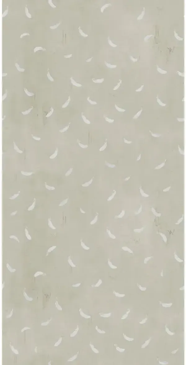 Paule Marrot, Feathers Wallpaper