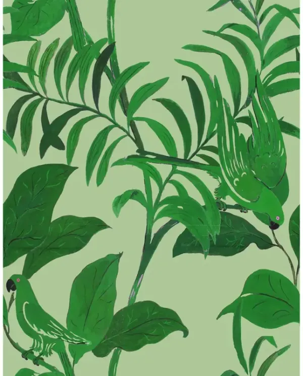 Paule Marrot, Large Scale Tropical Birds Wallpaper