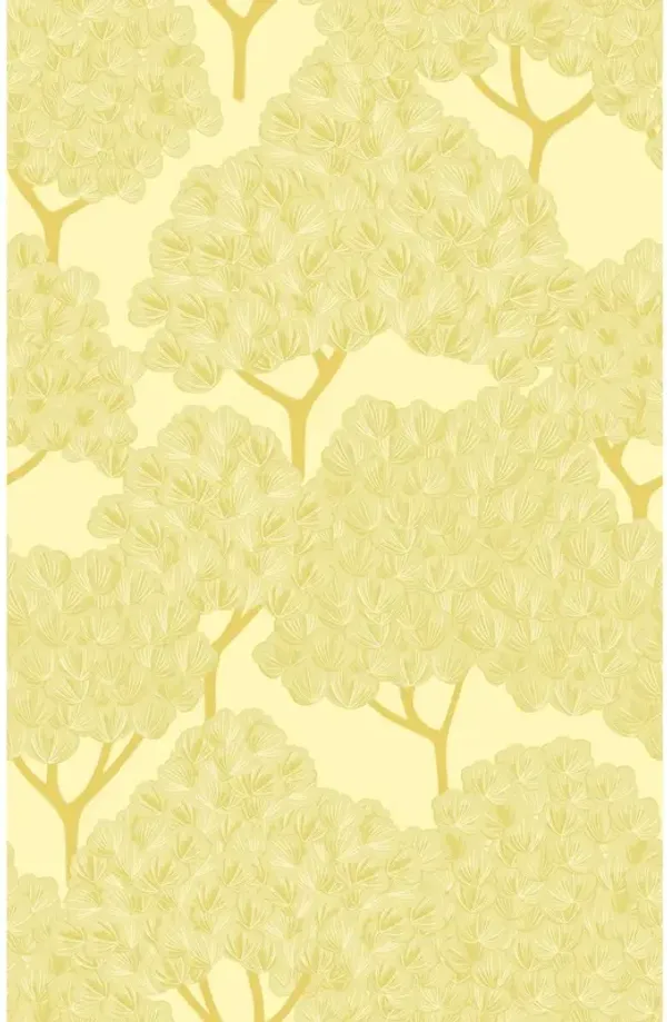 Yuki Osada, Parisian Cherry Blossoms Wallpaper