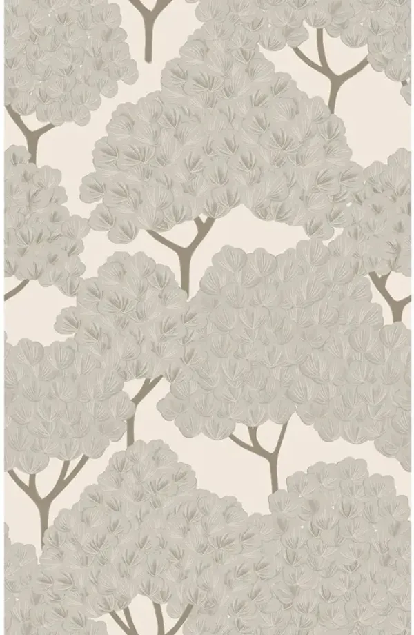 Yuki Osada, Parisian Cherry Blossoms Wallpaper