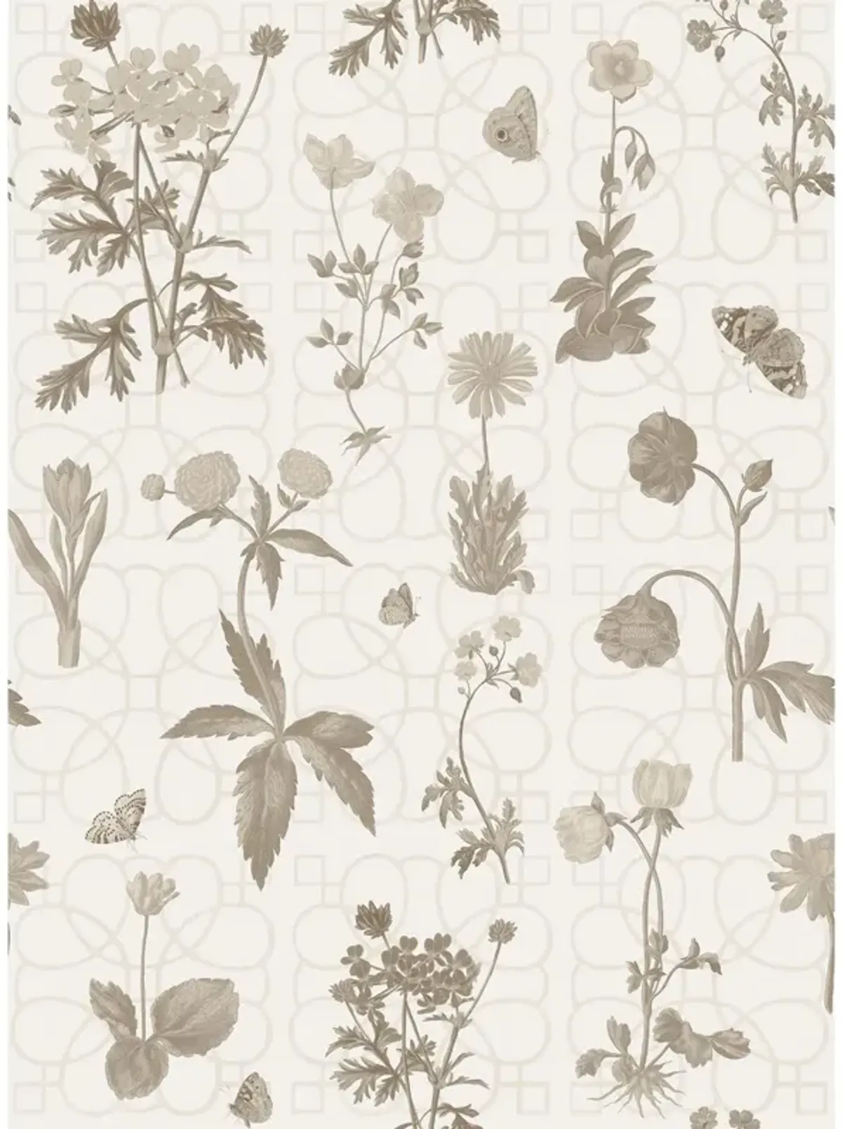 Yuki Osada, Tonal Flower Journal Wallpaper