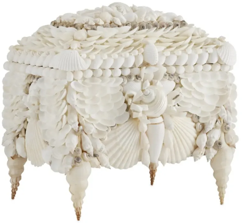 Boardwalk Shell Jewelry Box, White